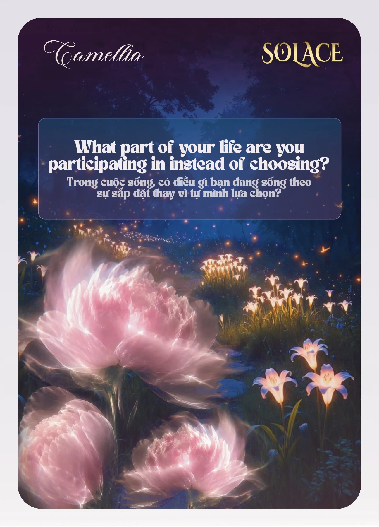 Solace Camellia conversation card 2